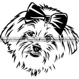 Maltese Angry Dog Design Element Puppy Pup Head Purebred Pedigree Canine K-9 K9 Animal Portrait Doggy Face Cute Vector Clipart SVG