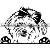 Maltese Dog Peeking Design Element Pedigree Canine K-9 K9 Animal Portrait Doggy Face Cute Head Purebred Puppy Clipart SVG