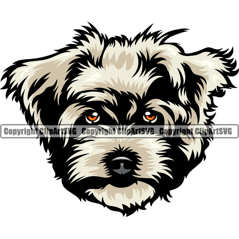 Maltese Dog Head Color Design Element Puppy Pup Head Purebred Pedigree Portrait Doggy Face Animal K9 Vector Clipart SVG