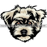 Maltese Dog Head Color Design Element Puppy Pup Head Purebred Pedigree Portrait Doggy Face Animal K9 Vector Clipart SVG