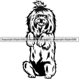 Maltese Dog Begging Design Element Animal Portrait Doggy Face Cute Body Puppy Pup Head Purebred Pedigree Canine Clipart SVG