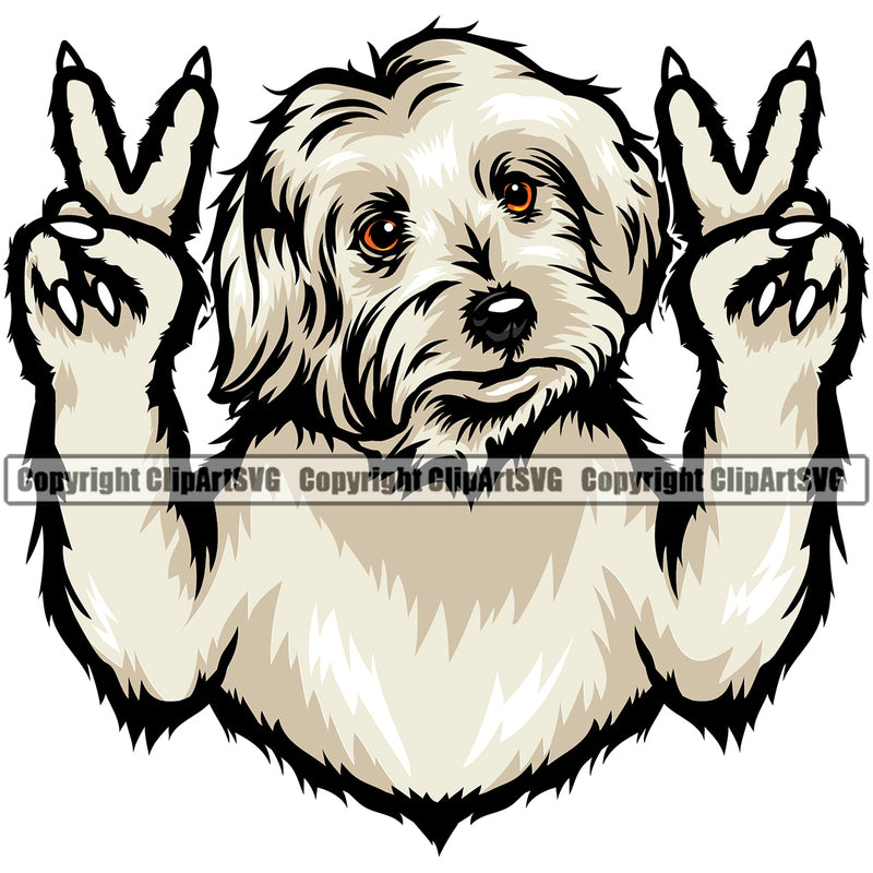 Maltese Dog Peace Hand Sign Design Element Puppy Pup Head Purebred Pedigree Canine K-9 K9 Animal Face Doggy Cute Doggy Vector Clipart SVG