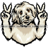 Maltese Dog Peace Hand Sign Design Element Puppy Pup Head Purebred Pedigree Canine K-9 K9 Animal Face Doggy Cute Doggy Vector Clipart SVG