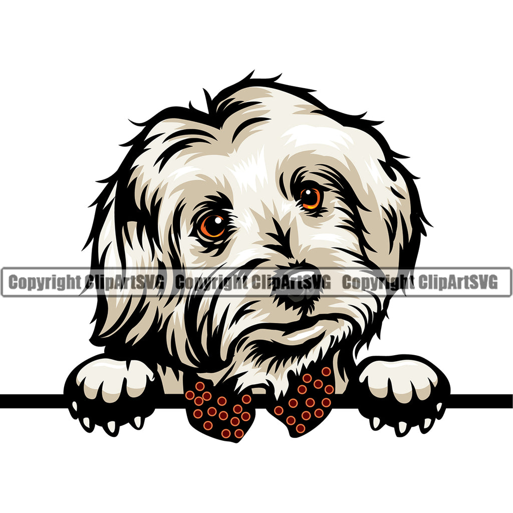 Maltese Dog Peeking Design Element Animal Portrait Doggy Face Cute Puppy Pup Head Purebred Pedigree Canine Vector Clipart SVG