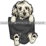 Maltese Dog Hanging From Shirt Pocket Puppy Pup Head Purebred Pedigree Doggy Face Cute K9 Animal Portrait Vector Clipart SVG
