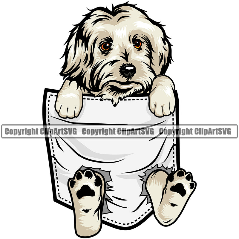 Maltese Dog Purebred Pedigree Canine K-9 K9 Animal Vector Portrait Doggy Face Cute Body Puppy Pup Head Clipart SVG