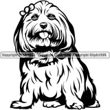 Maltese Dog Sitting Position Design Element Pedigree Canine K-9 K9 Animal Portrait Doggy Face Cute Body Puppy Pup Head Vector Clipart SVG