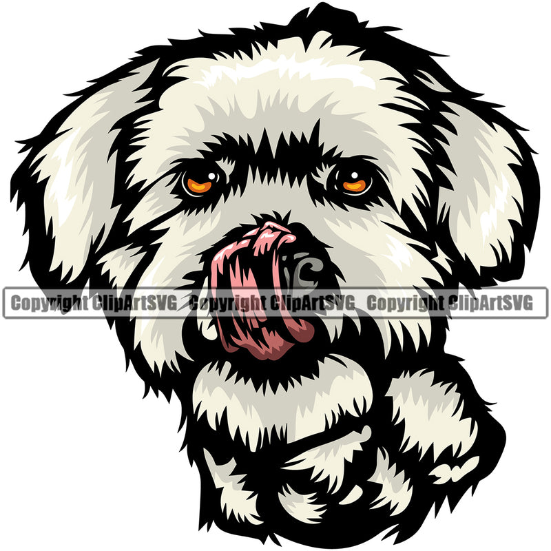 Maltese Dog Color Body Design Element Portrait Doggy Face Cute Puppy Pup Head Purebred Pedigree Canine K-9 K9 Animal Clipart SVG