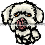 Maltese Dog Color Body Design Element Portrait Doggy Face Cute Puppy Pup Head Purebred Pedigree Canine K-9 K9 Animal Clipart SVG
