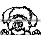 Maltese Dog Peeking Design Element Puppy Pup Head Purebred Pedigree Canine Cute Face Animal Portrait Doggy K9 Clipart SVG