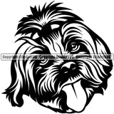 Maltese Dog Head Design Element Cute Face Doggy Puppy Pup Purebred Pedigree Canine K-9 K9 Animal Portrait Vector Clipart SVG