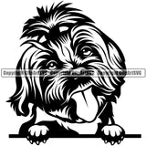 Maltese Dog Peeking Design Element Puppy Pup Head Purebred Pedigree Portrait Doggy Face Cute K9 Animal Vector Clipart SVG