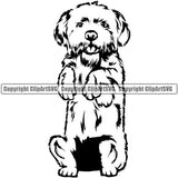 Maltese Dog Begging Design Element Puppy Pup Head Purebred Pedigree Portrait Doggy Face Cute Body Canine K9 Animal Vector Clipart SVG