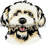 Maltese Dog Color Head Design Element Purebred Pedigree Canine K-9 K9 Animal Portrait Doggy Face Cute Vector Clipart SVG