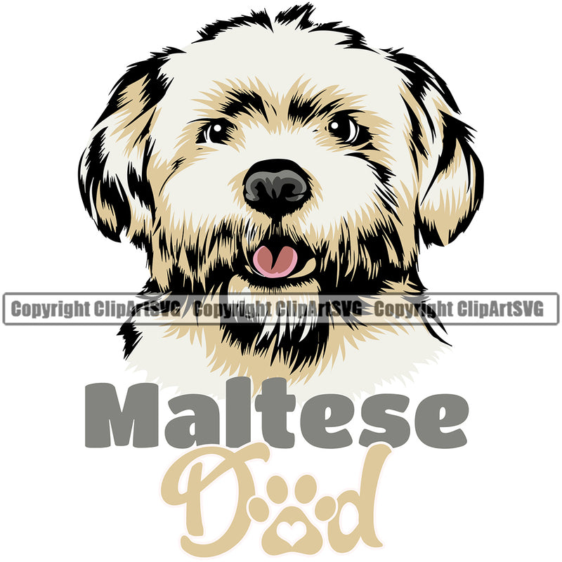 Maltese Dog Dad Color Design Element Puppy Pup Head Purebred Pedigree Canine K9y Face Cute  Animal Portrait Dogg Clipart SVG