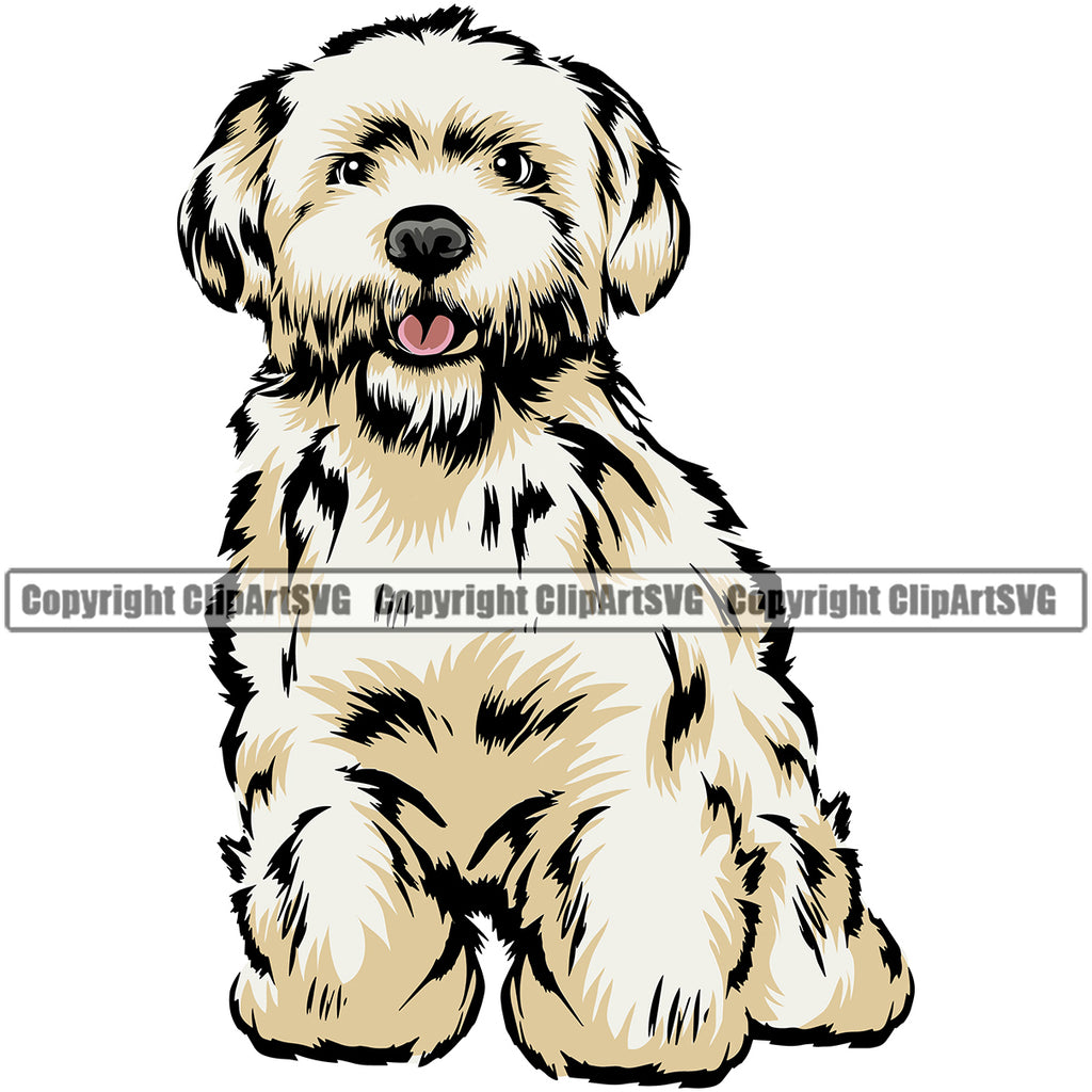 Maltese Dog Sitting Color Design Smile Face Dog Doggy Puppy Animal Purebred Pedigree Canine K-9 K9 Portrait Body Clipart SVG