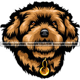 Maltipoo Dog Color Head Design Element Purebred Pedigree Canine K-9 K9 Animal Portrait Doggy Face Cute Body Puppy Vector Clipart SVG