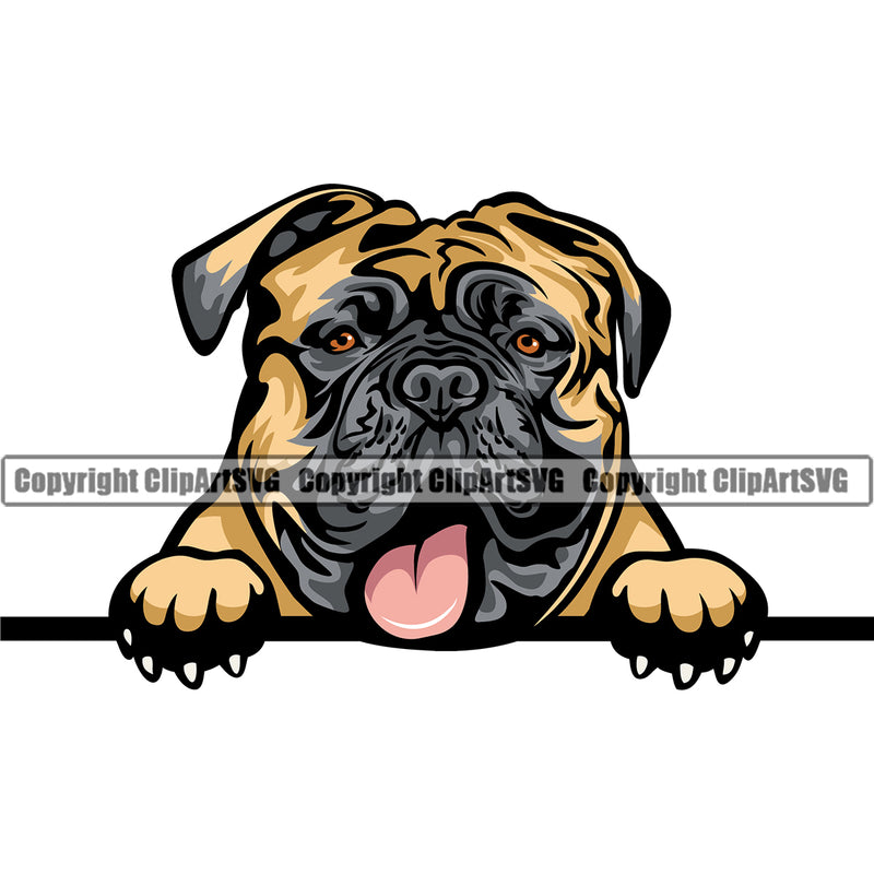 Mastiff Peeking Dog Color Design Element Puppy Pup Head Purebred Pedigree Canine Vector K9 Animal Portrait Doggy Face Cute Body Clipart SVG