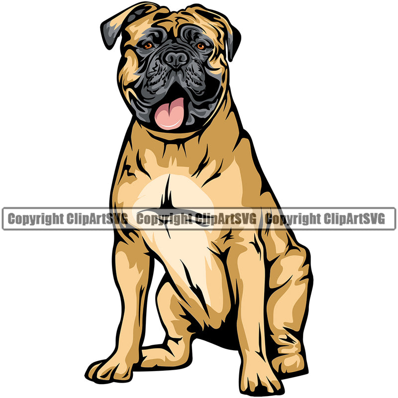 Mastiff Dog Sitting Position Color Design Element K9 Animal Portrait Doggy Face Cute Body Puppy Pup Head Purebred Pedigree Canine Clipart SVG