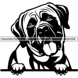 Mastiff Dog Peeking Design Element Cute Face Doggy Puppy Pup Head Purebred Pedigree Canine K-9 K9 Animal Portrait Vector Clipart SVG