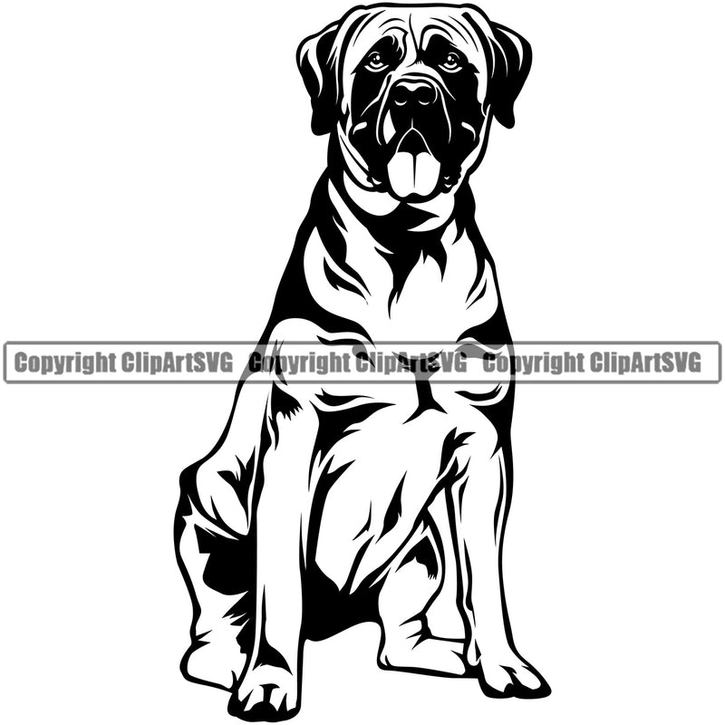 Mastiff Dog Sitting Design Doggy Body Puppy Head Cute Face Canine K-9 K9 Animal Portrait Doggy Purebred Pedigree Clipart SVG