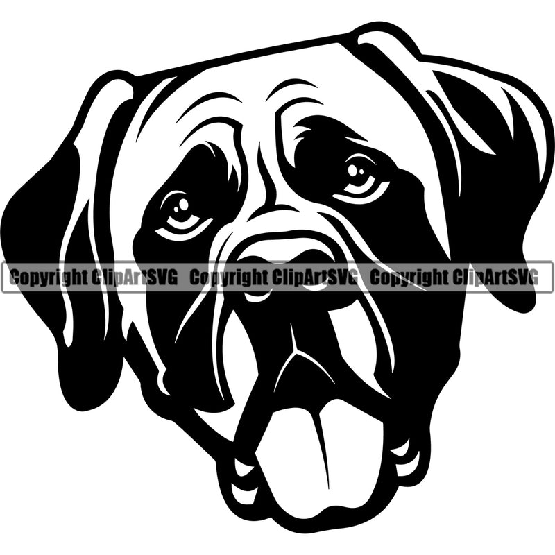 Mastiff Dog Head Design Cute Face Doggy Puppy Purebred Pedigree Canine K-9 K9 Animal Portrait Vector Clipart SVG