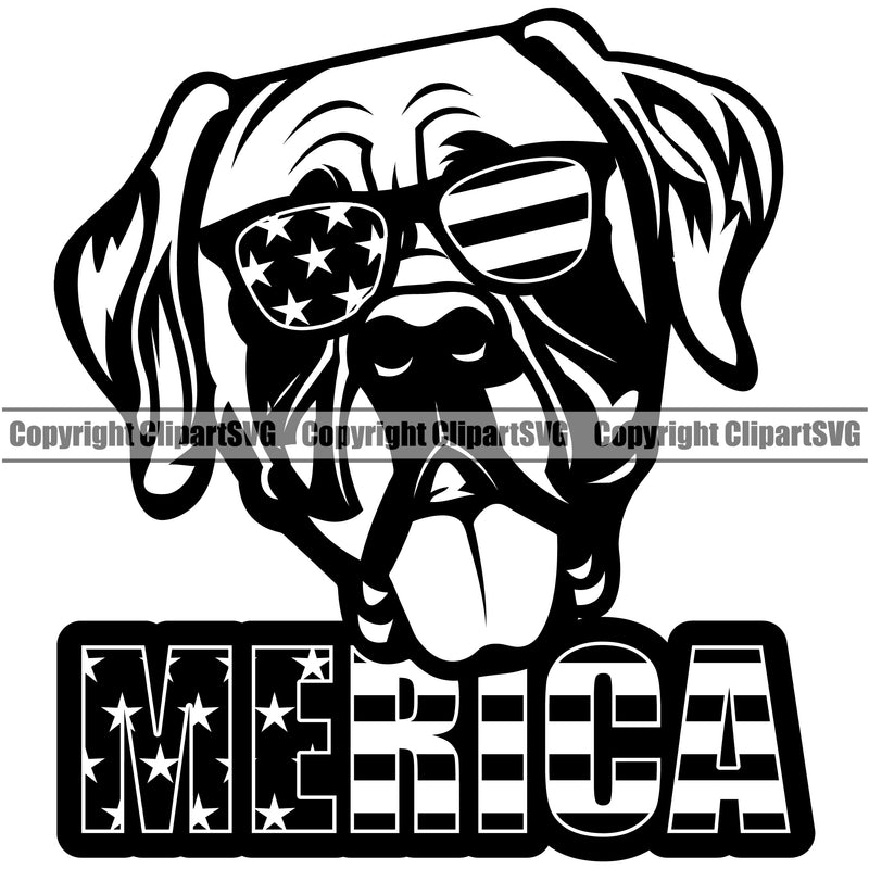 Mastiff Dog Wearing Sunglasses With Merica Text Design White Color Puppy Pup Head Purebred Pedigree Canine K-9 K9 Animal Portrait Doggy Face Cute Clipart SVG