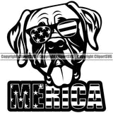 Mastiff Dog Wearing Sunglasses With Merica Text Design White Color Puppy Pup Head Purebred Pedigree Canine K-9 K9 Animal Portrait Doggy Face Cute Clipart SVG