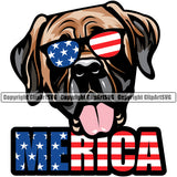 Mastiff Dog Wearing Sunglasses With Merica Text Design Color Puppy Head Portrait Doggy Face Cute Purebred Pedigree Canine K-9 K9 Animal Clipart SVG