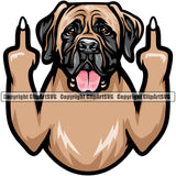 Mastiff Dog Middle Finger Sigh Color Design Element Smile Face Doggy Puppy Head Purebred Pedigree Canine K-9 K9 Animal Portrait Cute Pup Clipart SVG