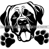 Mastiff Dog Peeking Design Element K-9 K9 Animal Portrait Doggy Face Cute Puppy Pup Head Purebred Pedigree Canine Clipart SVG