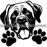 Mastiff Dog Peeking Design White Color Head Pedigree Canine K-9 K9 Animal Portrait Doggy Face Cute Puppy Head Purebred Vector Clipart SVG