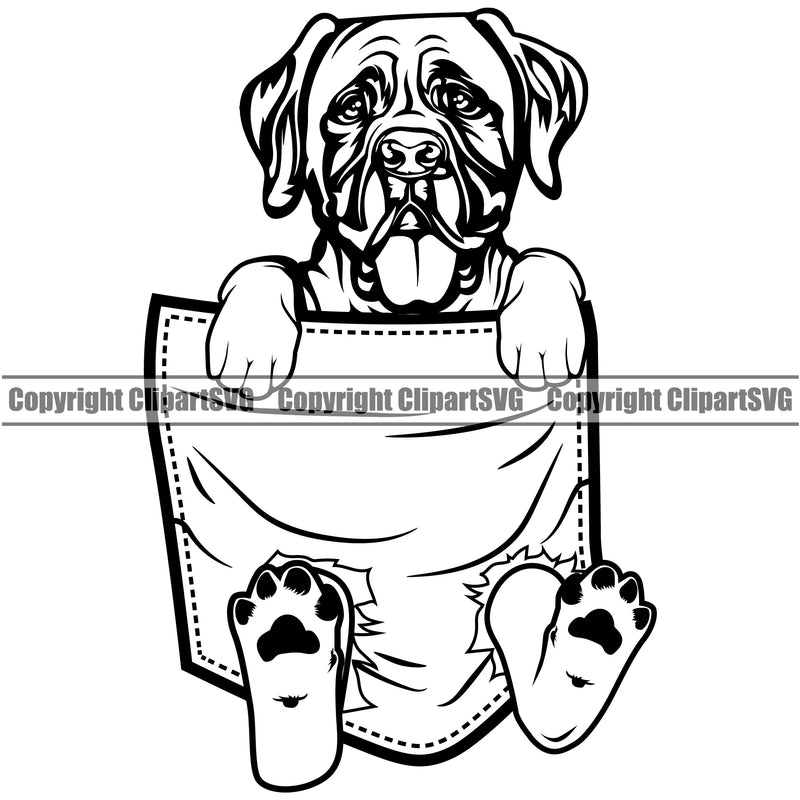 Mastiff Dog Hanging From Shirt Pocket T-Shirt Tshirt Design Element Head Purebred Pedigree Canine K-9 K9 Animal Portrait Doggy Face Cute Body Vector Clipart SVG