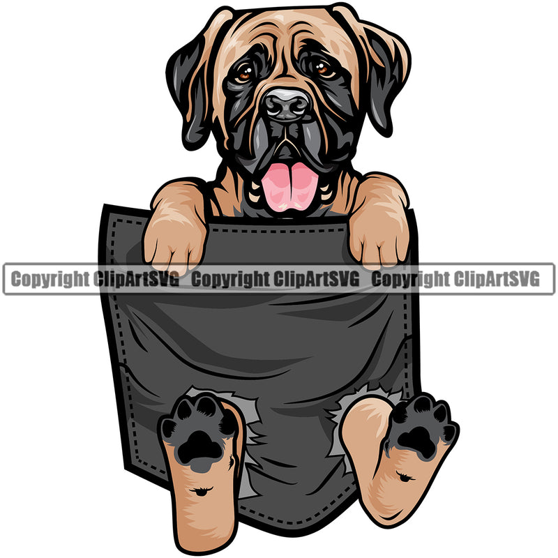 Mastiff Dog Hanging From Shirt Pocket T-Shirt Tshirt Color Design Element Head Purebred Pedigree Canine K-9 K9 Puppy Animal Portrait Doggy Face Cute Clipart SV