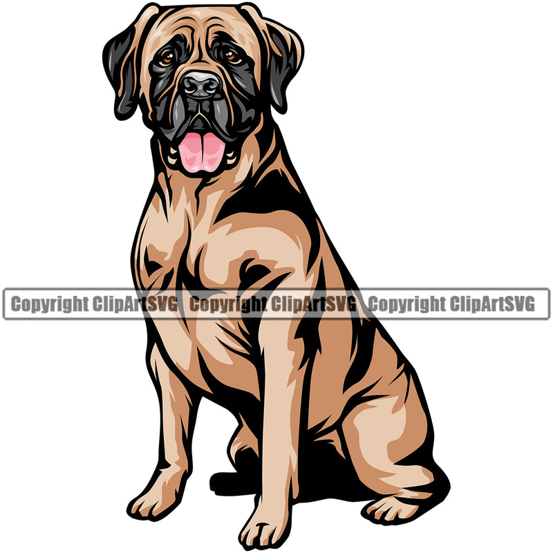 Mastiff Dog Sitting Design Puppy Body Color Doggy Cute Face Canine K-9 K9 Animal Portrait Doggy Purebred Pedigree Pup Vector Clipart SVG