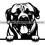 Mastiff Dog Peeking Design Head Animal Purebred Pedigree Canine K-9 K9 Animal Portrait Doggy Face Cute Puppy Clipart SVG