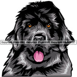 Newfoundland Dog Head Color Design Element Puppy Pup Head Purebred Pedigree Canine K-9 K9 Animal Portrait Doggy Face Cute Clipart SVG