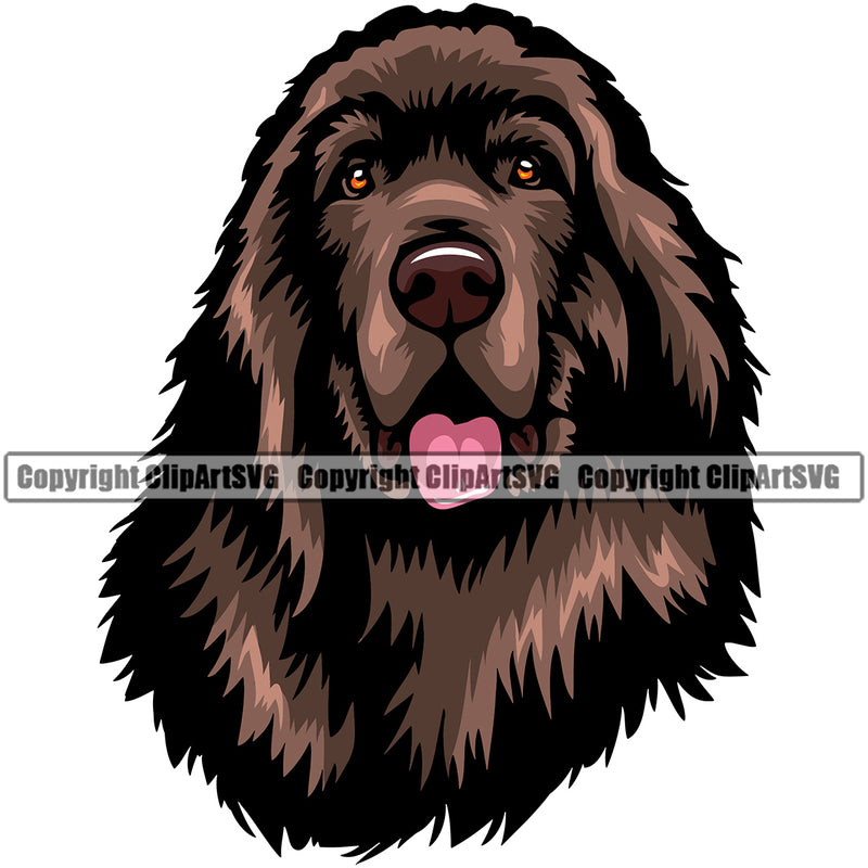 Newfoundland Dog Brown Color Head Design Element Canine K-9 K9 Animal Portrait Doggy Face Cute Puppy Purebred Pedigree Vector Clipart SVG