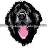 Newfoundland Dog Head Color Design Element Purebred Pedigree Canine K-9 K9 Animal Puppy Pup Portrait Doggy Face Cute Vector Clipart SVG