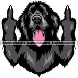 Newfoundland Dog Middle Finger Design Color Body Animal Portrait Doggy Face Cute Puppy Purebred Pedigree Canine K-9 K9 Clipart SVG