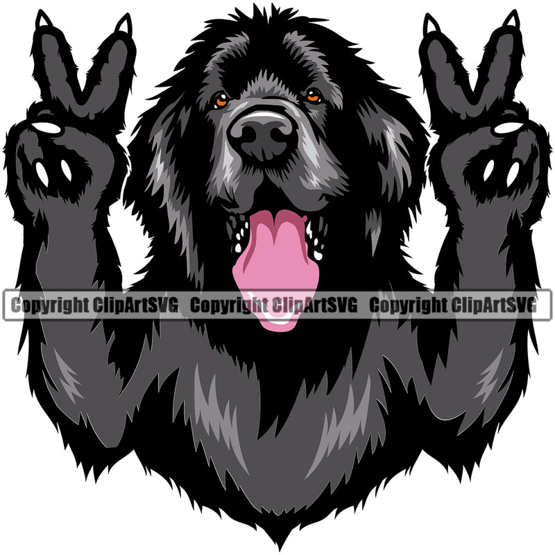 Newfoundland Dog Peace Hand Sign Color Design Element Canine K-9 Animal Portrait Doggy Face Cute Pup Head Purebred Pedigree Vector Clipart SVG