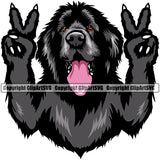 Newfoundland Dog Peace Hand Sign Color Design Element Canine K-9 Animal Portrait Doggy Face Cute Pup Head Purebred Pedigree Vector Clipart SVG