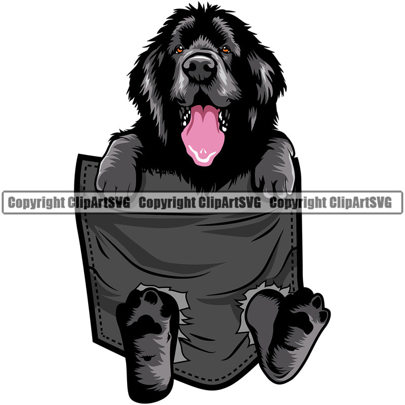 Newfoundland Dog Hanging From Shirt Pocket T-Shirt Tshirt K9 Animal Portrait Doggy Face Cute Body Pup Head Purebred Pedigree Canine Clipart SVG