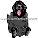 Newfoundland Dog Hanging From Shirt Pocket T-Shirt Tshirt K9 Animal Portrait Doggy Face Cute Body Pup Head Purebred Pedigree Canine Clipart SVG