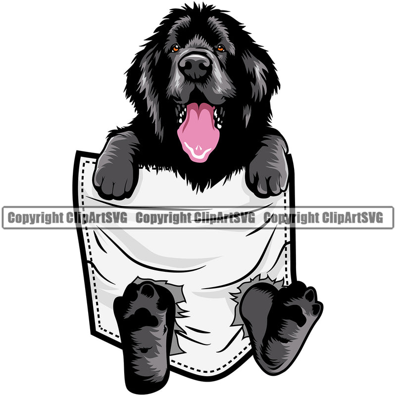 Newfoundland Dog Hanging From Shirt Pocket Black And White Color T-Shirt Tshirt Design Puppy Pup Head Purebred Pedigree Canine K-9 K9 Animal Portrait Doggy Clipart SVG