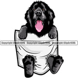 Newfoundland Dog Hanging From Shirt Pocket Black And White Color T-Shirt Tshirt Design Puppy Pup Head Purebred Pedigree Canine K-9 K9 Animal Portrait Doggy Clipart SVG