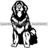 Newfoundland Dog Sitting Position Design Pedigree Canine K-9 K9 Animal Portrait Doggy Cute Purebred Puppy Clipart SVG