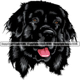 Newfoundland Dog Black Color Face Design Element Head Purebred Pedigree Canine K-9 K9 Animal Portrait Doggy Puppy Clipart SVG