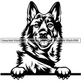 Norwegian Elkhound Dog Peeking Design Element Purebred Pedigree Canine K-9 K9 Animal Puppy Pup Head  Portrait Doggy Face Cute Clipart SVG