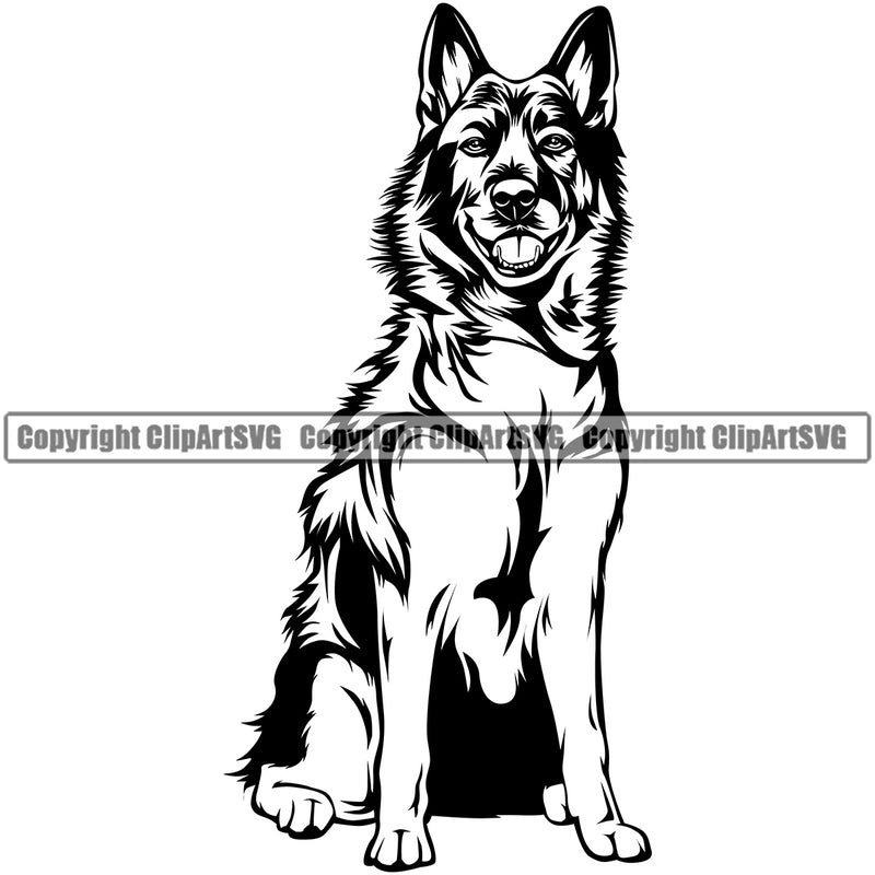 Norwegian Elkhound Dog Sitting Design Element Puppy Pup Head Purebred Pedigree Canine K-9 K9 Animal Cute Face Clipart SVG